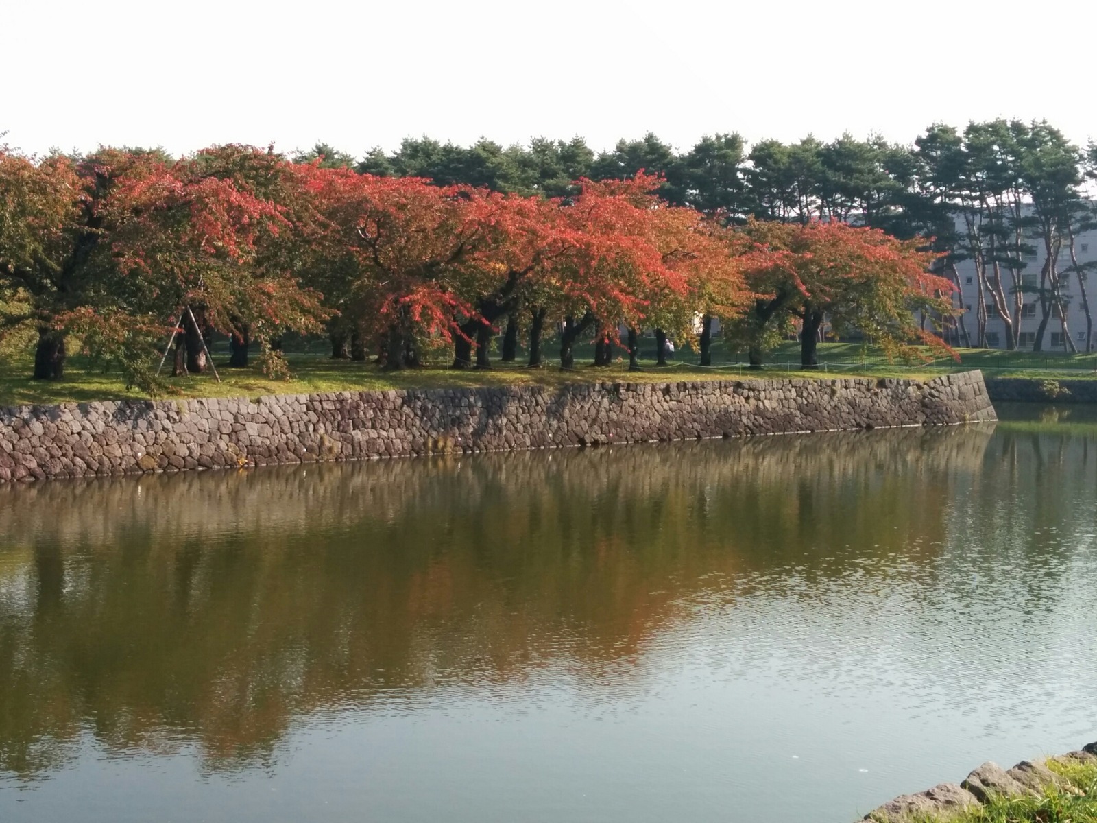 [画像:0716e625-s.jpg]