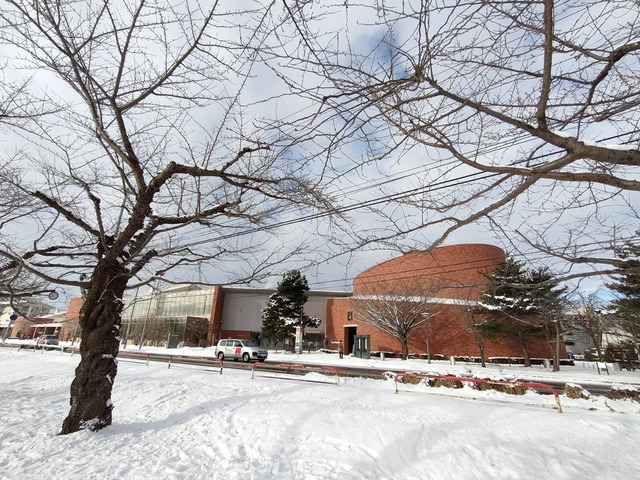 IMG20240111091238