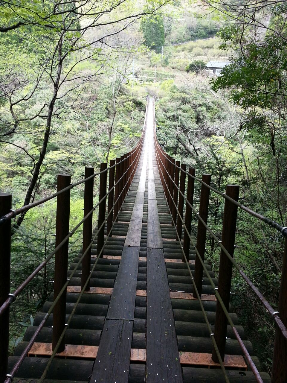 春の旅、九州山地の奥 平家の落人部落を訪ねる : 函館発 ぼうけんの旅