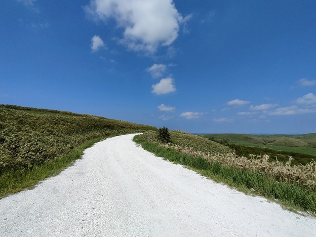 IMG20260613124524