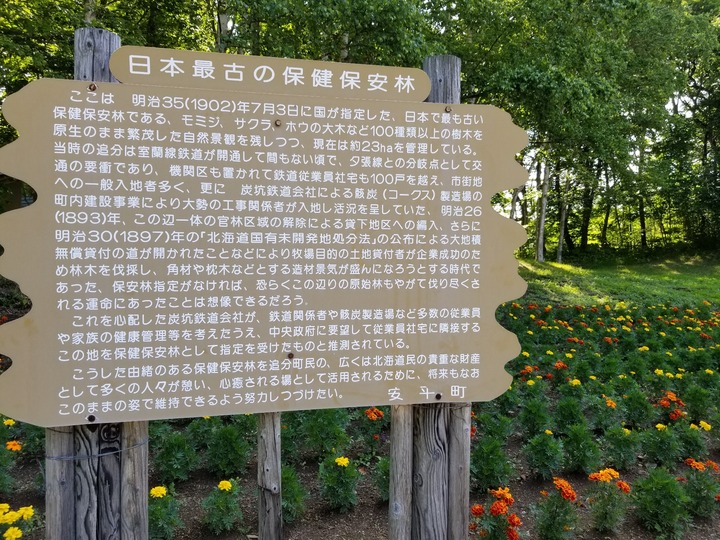 20190625_080806
