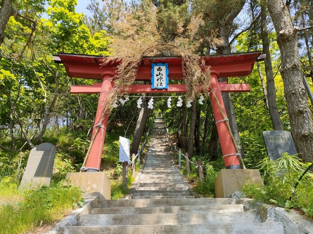 IMG20230518092705