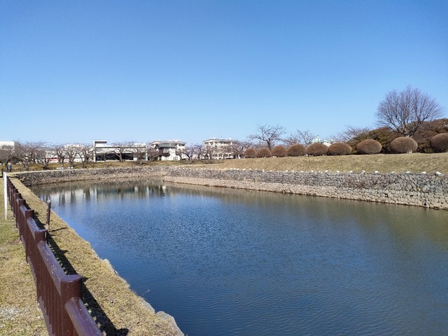 IMG20230320092940