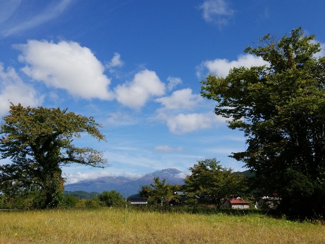 IMG_20211009_103631