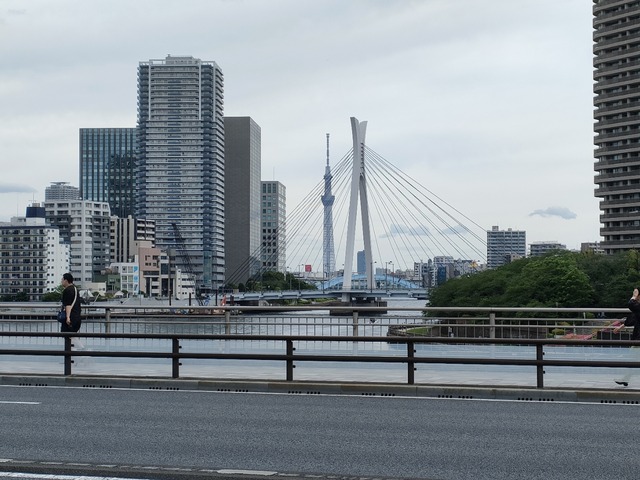 IMG20240512113050