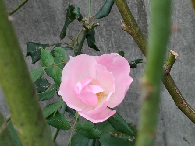 IMG20221021153510
