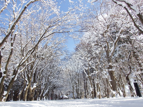 DSCF7192