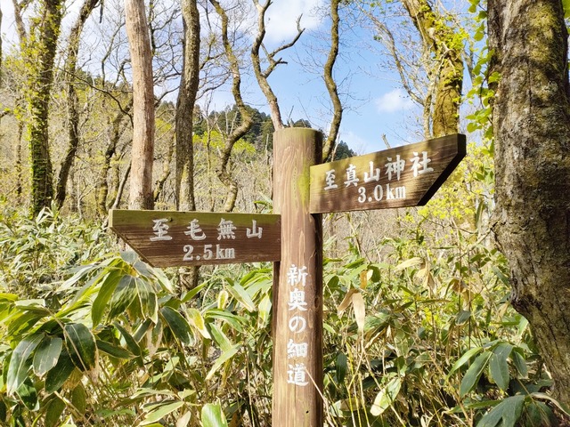 IMG20230422084857