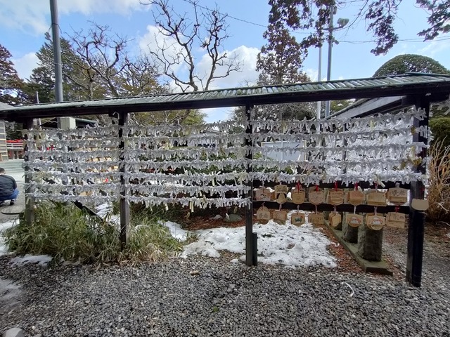 IMG20240316102316