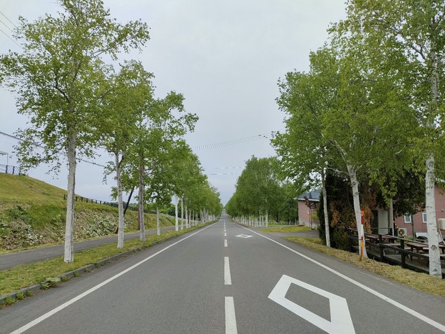 IMG20260521132202