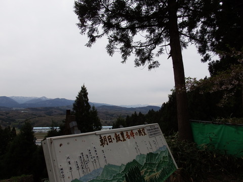 DSCF5274