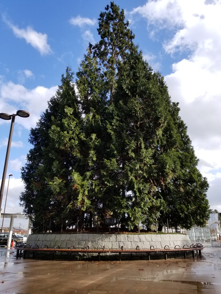 20181207_104938