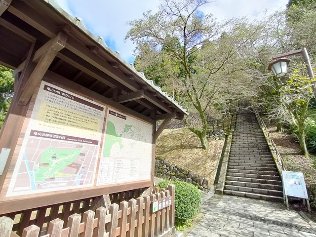 IMG20241009120430