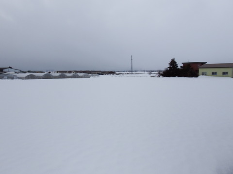 DSCF3999