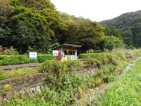 DSCF6685