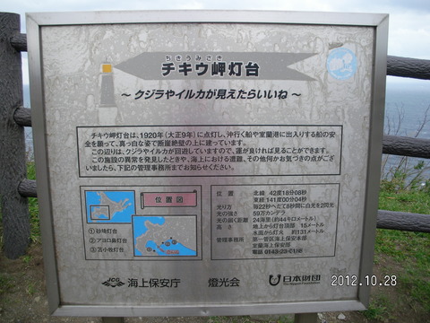RIMG1074