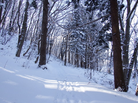 DSCF7184