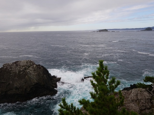 IMG_20211014_081729