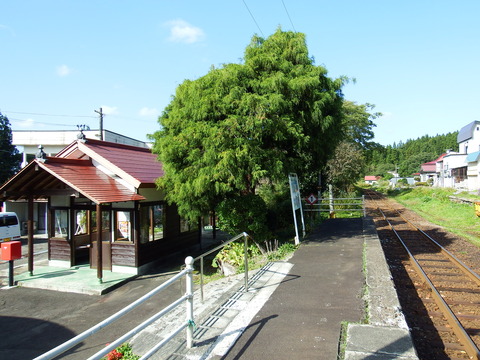 DSCF6500