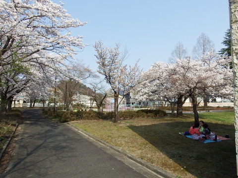 DSCF4936