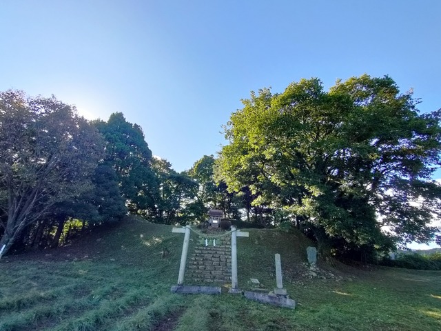 IMG20241012081716