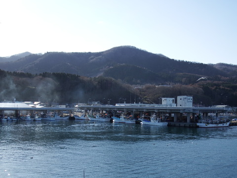 DSCF3509
