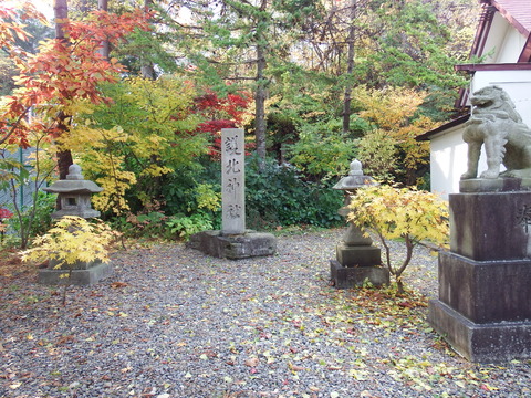 DSCF7572