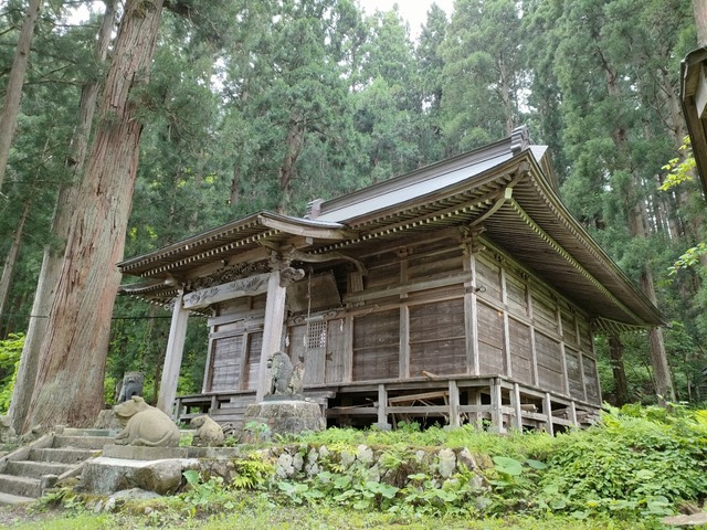 IMG20230526140607