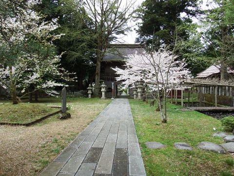DSCF5354