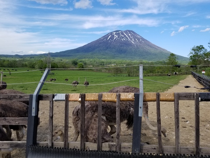 20190524_150227
