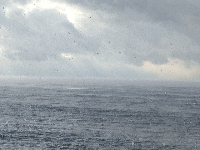 IMG20221220084606