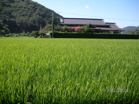 RIMG0559
