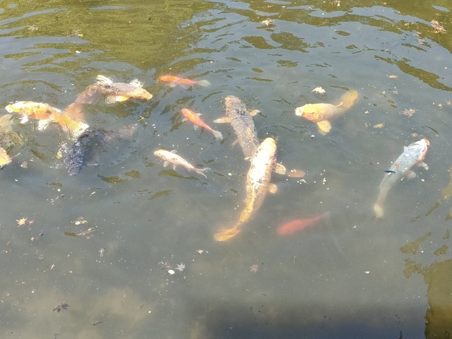 IMG20260604125317