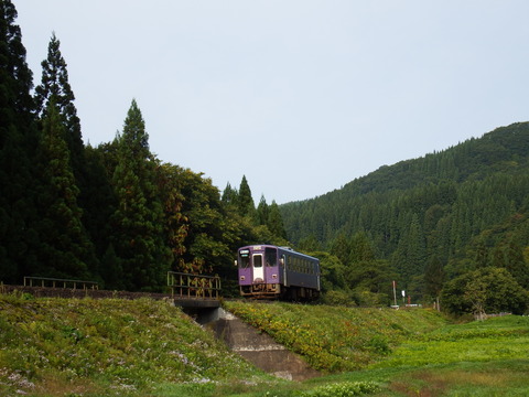 DSCF6541