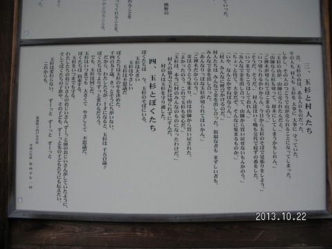 RIMG2624