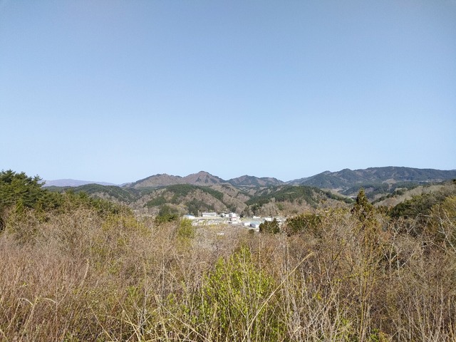 IMG20230420071329