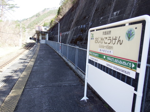 DSCF5084