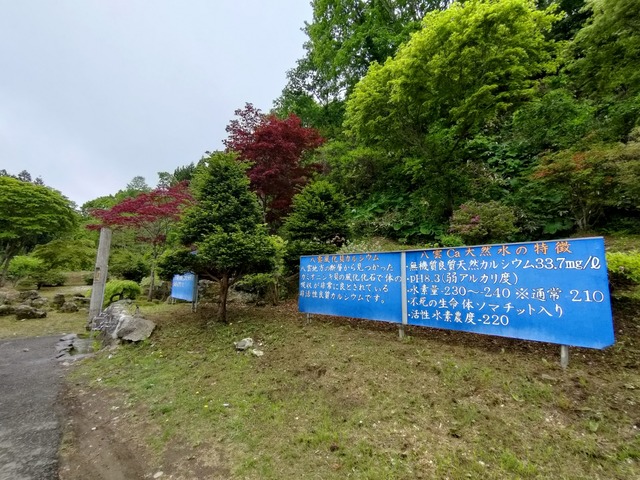 IMG20260525084656