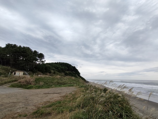 IMG20231019103035