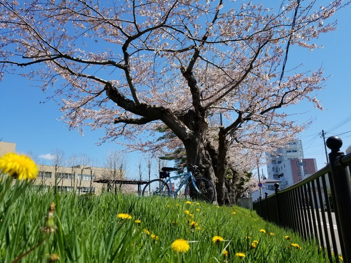 20190428_101633