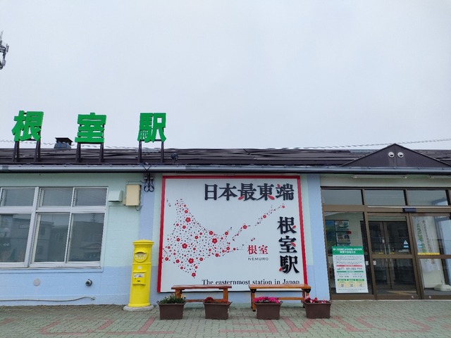 IMG20250711074446