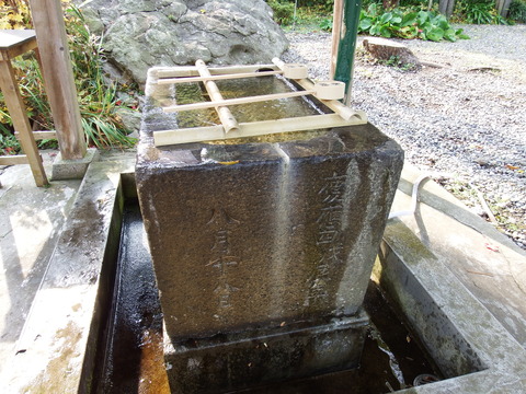 DSCF7559