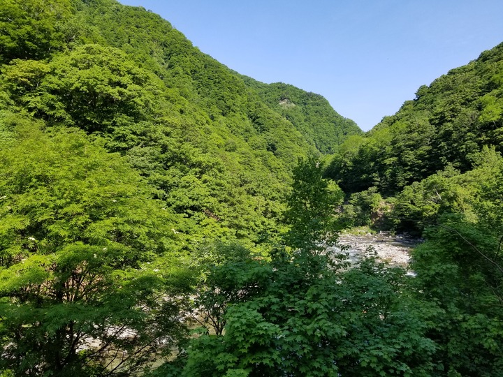 20190527_080656