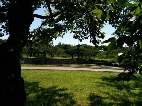 [画像:164da508-s.jpg]