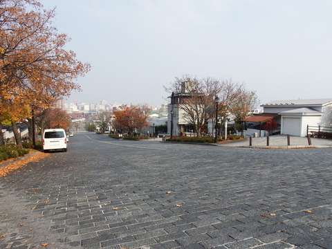 DSCF7588