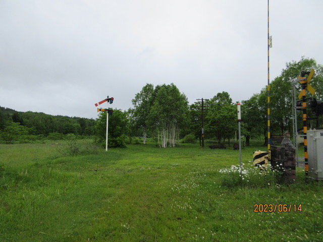 IMG_2823