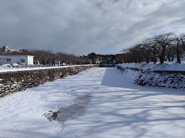 IMG20240111093444