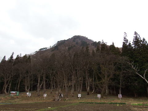 DSCF5050