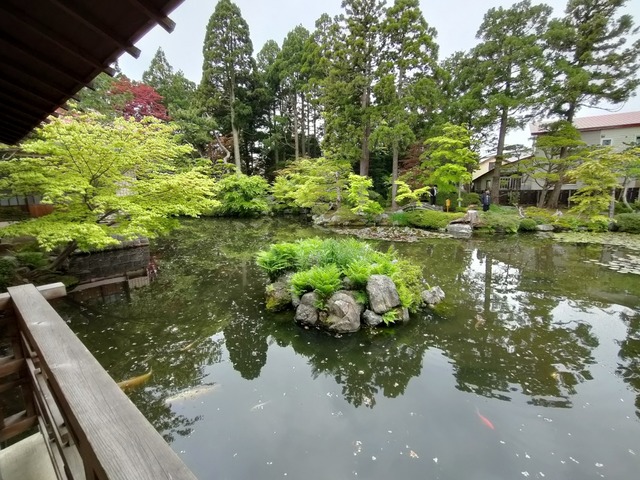 IMG20260521135404