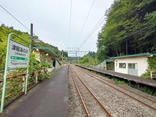 IMG20241003095705